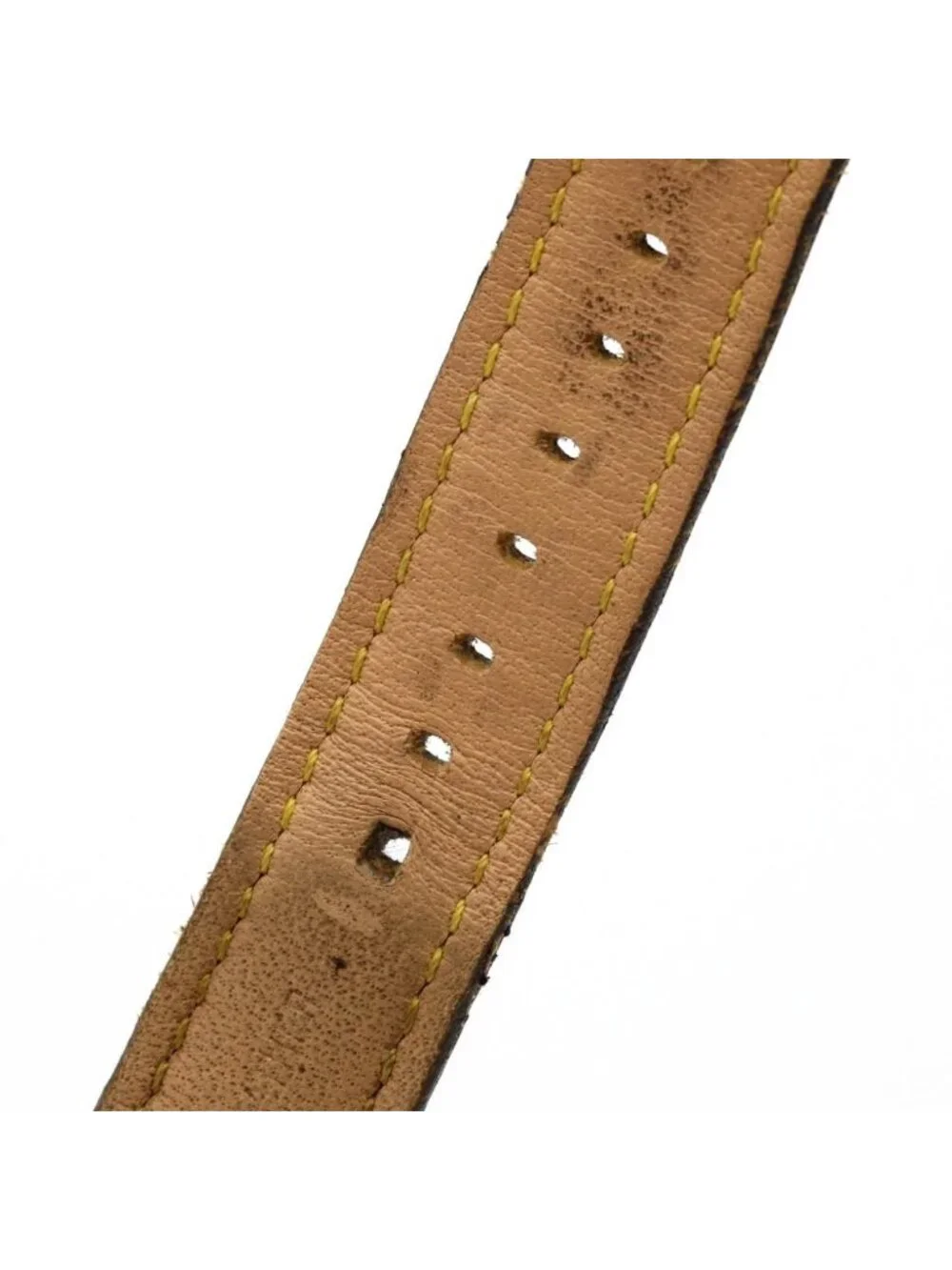 Louis Vuitton brand louis